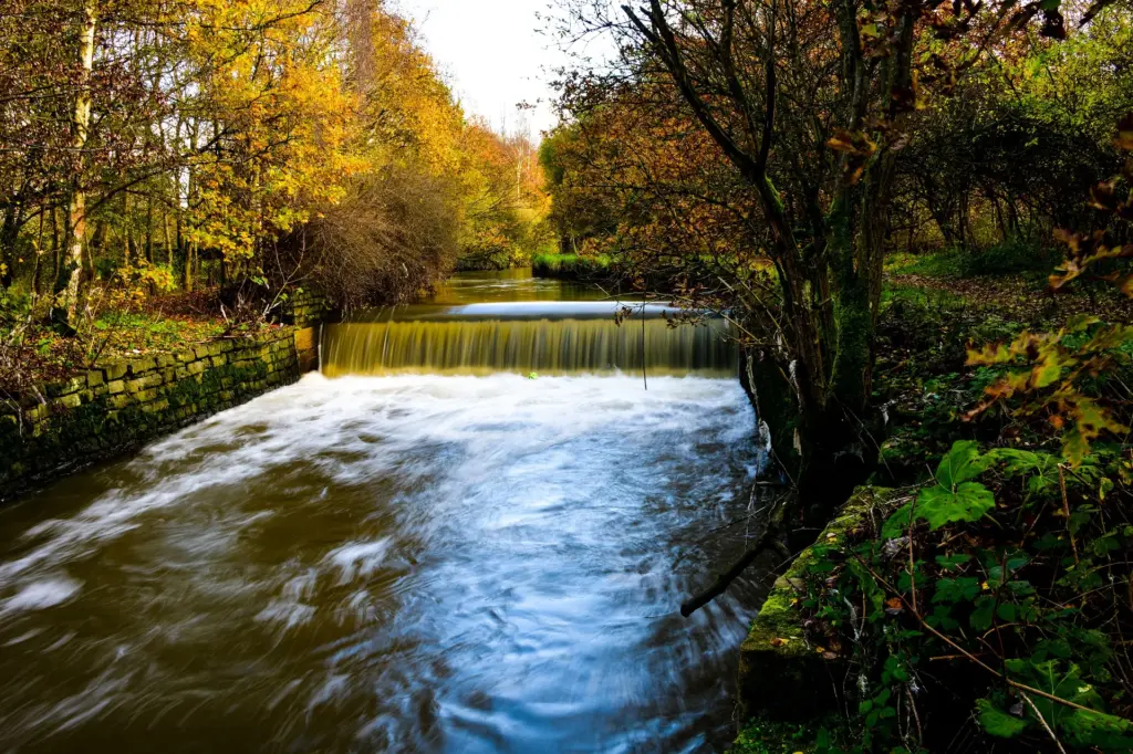 Fluss mit kleinem Wehr im herbstlichen Wald